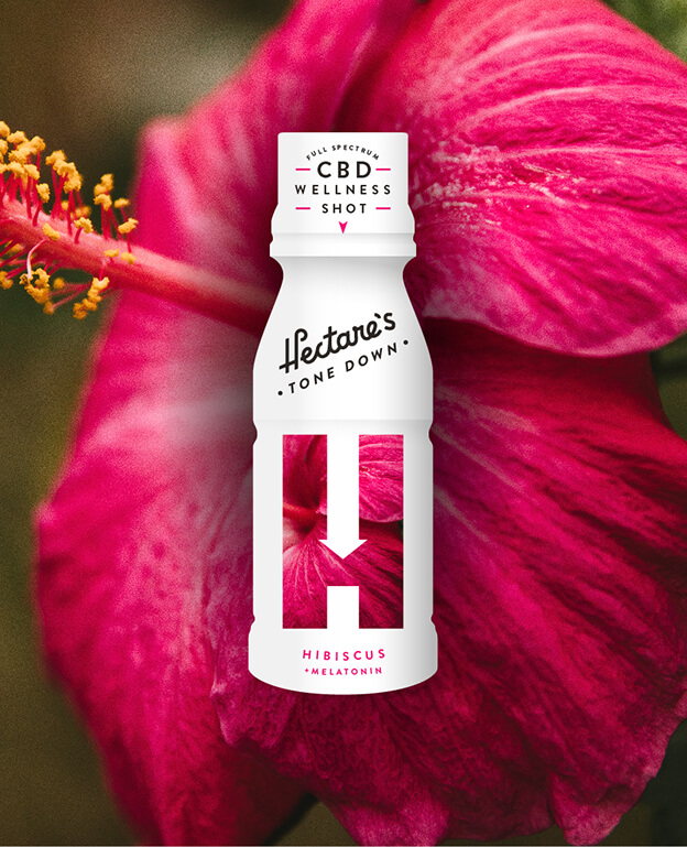 A bottle of Hectars Tone Down CBD Wellness Shot in Hibiscus + Melatonin flavor is shown in front of a large, vibrant pink hibiscus flower, with the flower’s image also featured on the bottle’s label.