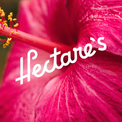 Close-up of a vibrant pink hibiscus flower with yellow stamens. The word Hectares is written in white cursive text across the petals.